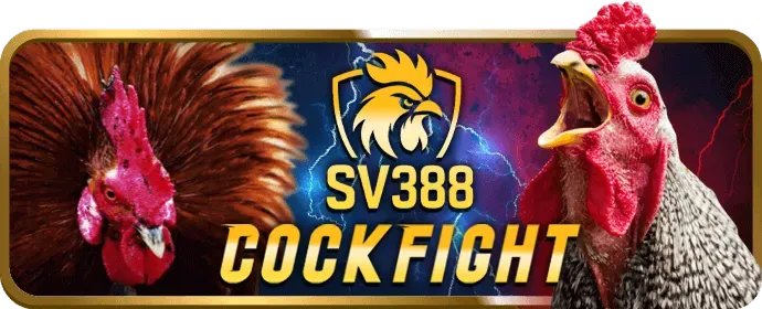 Chương trình VIP độc quyền