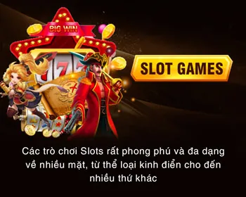 Tích lũy điểm và thăng cấp VIP